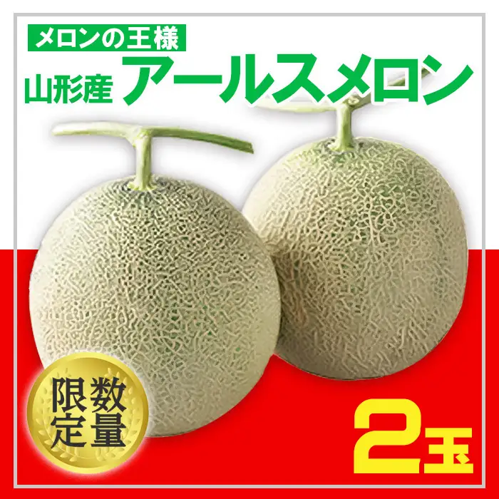 ★フルーツ王国山形★アールスメロン 秀品 2玉 約3kg 【令和8年産先行予約】FS24-601 くだもの 果物 フルーツ 山形 山形県 山形市 2026年産