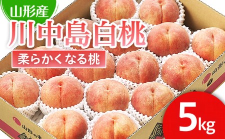 山形市産 桃「川中島白桃」 秀以上 5kg(13玉～18玉)[柔らかくなる桃] 【令和8年産先行予約】FS25-728 くだもの 果物 フルーツ 山形 山形県 山形市 人気 2026年産