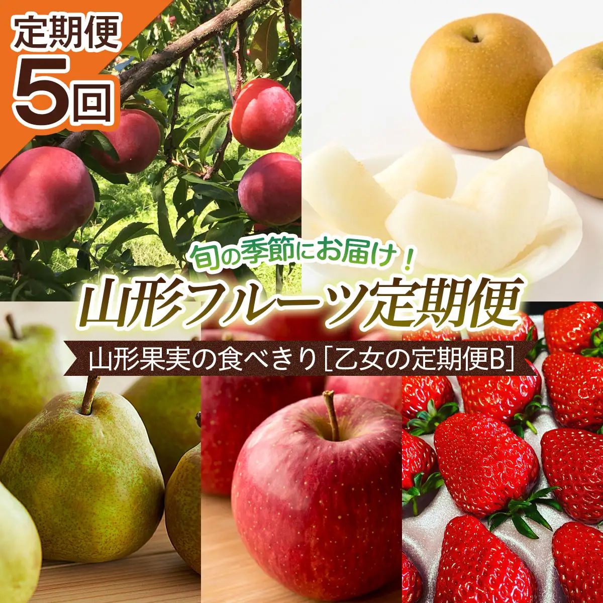 【定期便5回】山形果実の食べきり[乙女の定期便B] 【令和8年産先行予約】FU22-949 くだもの 果物 フルーツ 山形 山形県 山形市 2026年産