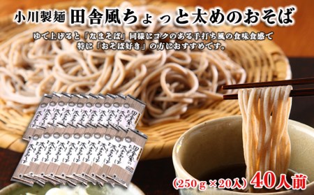 【小川製麺】田舎風ちょっと太めのおそば 250g×20入(約40人前) FZ26-818