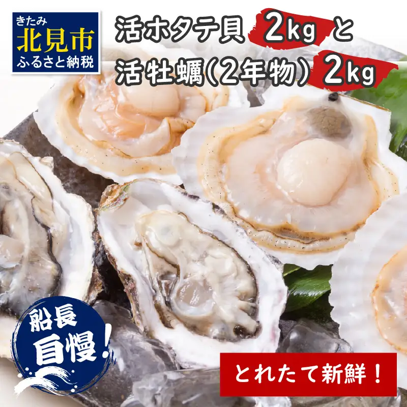 【予約：2026年10月中旬から順次発送】とれたて新鮮！活ホタテ貝2kgと活牡蠣2年物2kg ( 海鮮 魚介 貝 帆立 ほたて ホタテ カキ かき 牡蠣 セット BBQ )【114-0014-2026】