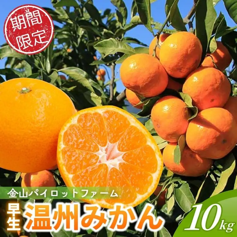 みかん 早生温州みかん 10㎏【knpr0015A】