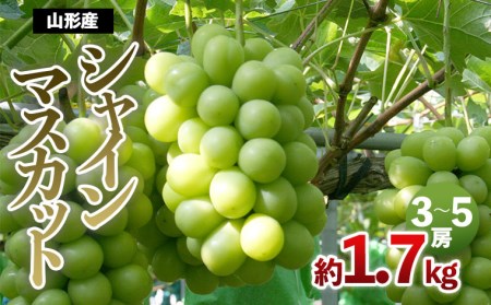 山形産 シャインマスカット 約1.7kg(3～5房)【令和8年産先行予約】FS24-502 くだもの 果物 フルーツ 山形 山形県 山形市 2026年産
