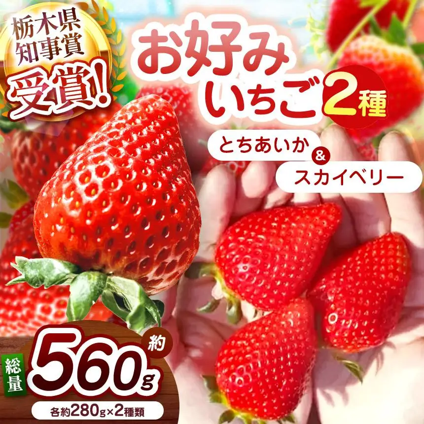【2027年先行予約】新定番とちあいか＆大粒スカイベリー 食べ比べセット 560g