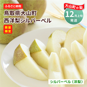 YN-01　鳥取県産洋ナシ　シルバーベル　4kg
