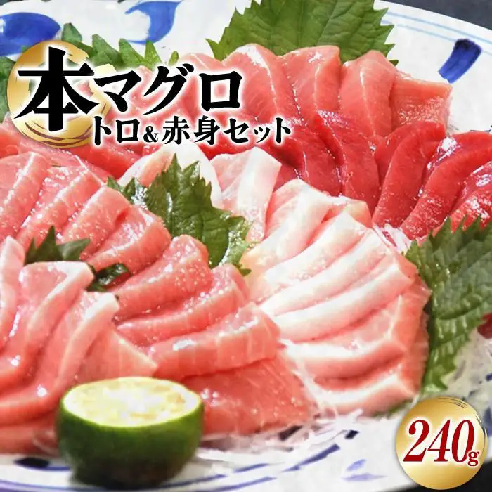 本マグロ（養殖）トロ＆赤身セット　240g［KS11］
