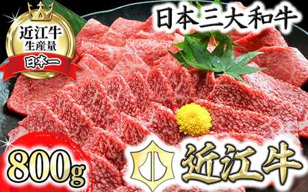 近江牛 A5 ランク 焼肉 美味 セット 800g げんさん 【DG10W】【 近江牛 】 牛肉