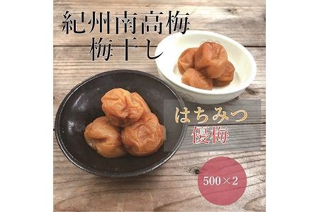 【贈答用】紀州南高梅 食べ比べセット 500g×2　（はちみつ・優梅） / 梅干 梅干し 梅 南高梅 人気 大粒【inm900-2C】