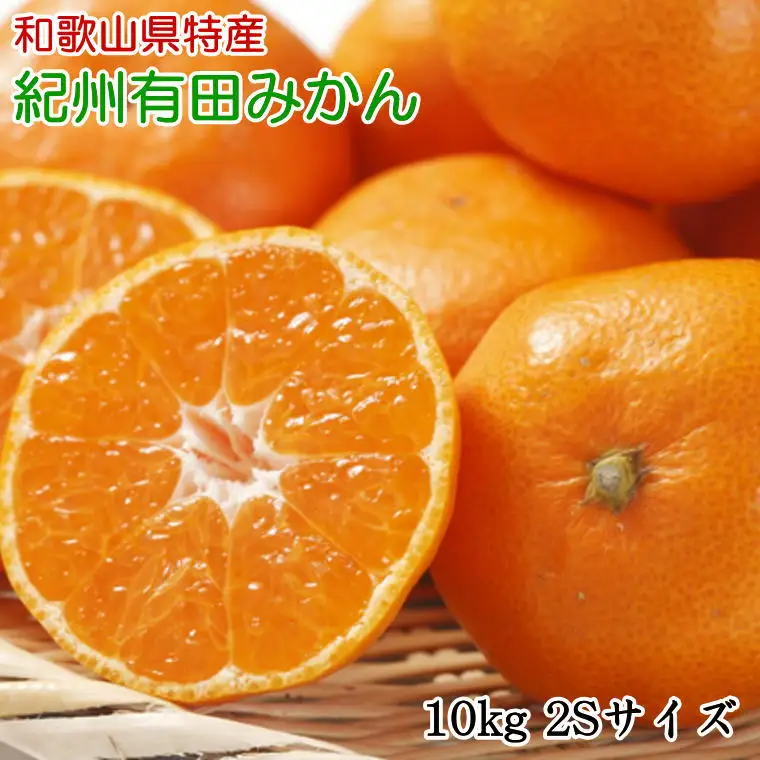 [秀品]和歌山有田みかん　約10kg(2Sサイズ) ※2026年11月中旬～2027年1月中旬頃順次発送【tec832B】