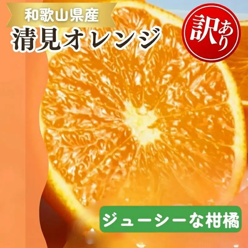 【ご家庭用訳アリ】紀州有田産清見オレンジ　7.5kg 	※2027年3月下旬頃〜2027年4月下旬頃に順次発送予定(お届け日指定不可)【uot730】