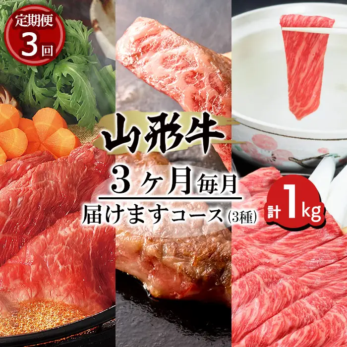 【定期便3回】山形牛3ヶ月毎月届けますコース (3種) 計1kg FY18-483