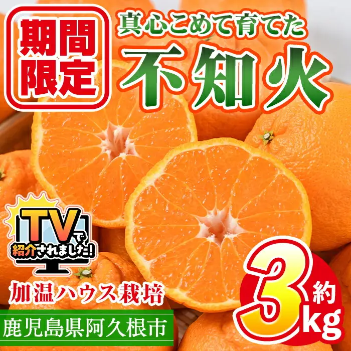 ＜先行予約受付中！2026年12月上旬以降順次発送予定＞ ＼テレビで紹介されました！／数量限定！鹿児島県産加温ハウス栽培の不知火「大将季」(計約3kg) 旬 フルーツ 果物 柑橘 みかん【三笠農業生産】akn051-07