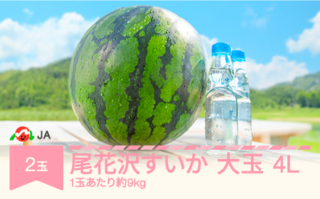 【先行予約】 大玉 尾花沢すいか 4L×2玉入り 令和8年産 2026年産  ja-suoox4 ※沖縄・離島への配送不可