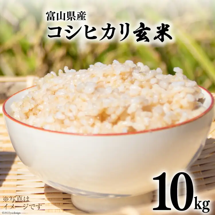 米 令和7年 コシヒカリ 玄米 10kg [アグリ金山 富山県 朝日町 34310565]
