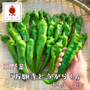 【2026年発送】 万願寺とうがらし 1kg  （2～4人用） 万願寺唐辛子 京野菜