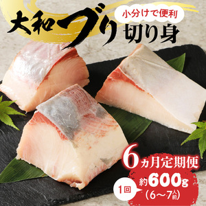 大和ブリの切り身　６ヶ月定期便 N072-YE132