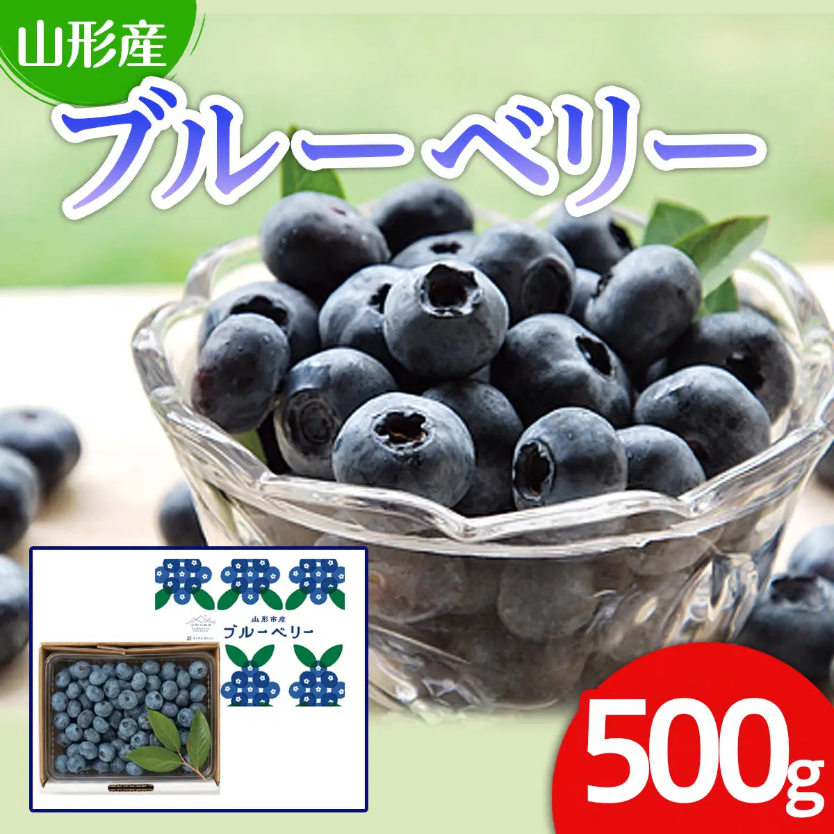 山形市産 ブルーベリー 500g 【令和8年産先行予約】 FS25-608 くだもの 果物 フルーツ 山形 山形県 山形市 2026年産