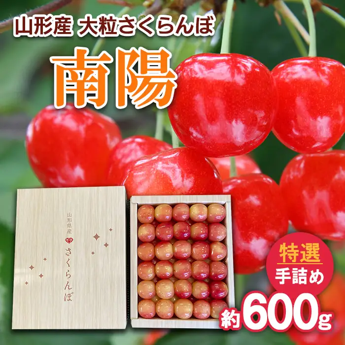 山形産 大粒さくらんぼ 南陽 特選 手詰め 約600g 【令和8年産先行予約】FS25-713 くだもの 果物 フルーツ 山形 山形県 山形市 2026年産