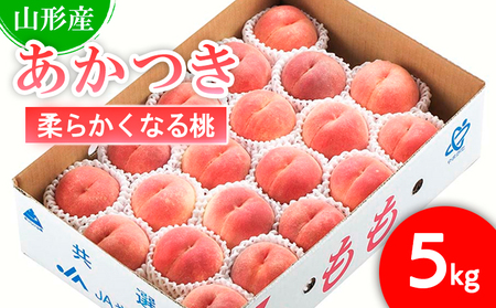 山形市産 もも(あかつき)5kg(16～20玉)[柔らかくなる桃] 【令和8年産先行予約】FS25-726 くだもの 果物 フルーツ 山形 山形県 山形市 人気 2026年産