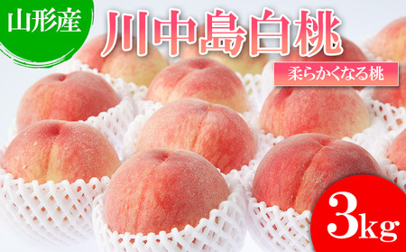  【白桃】川中島白桃 3kg(6～12玉)[柔らかくなる桃] 【令和8年産先行予約】FU22-783 くだもの 果物 フルーツ 山形 山形県 山形市 2026年産