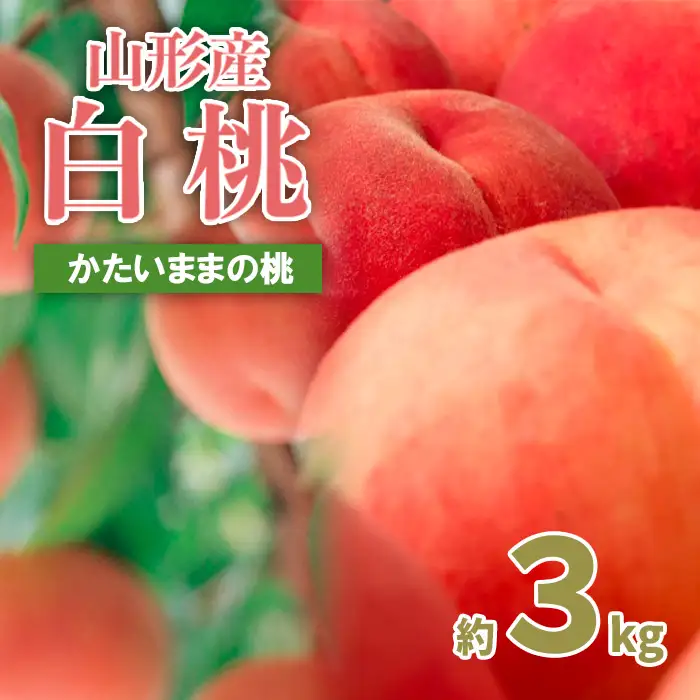 山形の産直所で人気！硬くてカリカリの桃 3kg(5～12玉)【令和8年産先行予約】FU21-831 くだもの 果物 フルーツ 山形 山形県 山形市 2026年産