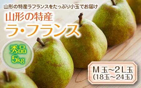 《先行予約 2026年度発送》山形の特産ラ・フランス5kg☆小玉をお届け！ なし ナシ 梨 デザート フルーツ 果物 くだもの 果実 食品 山形県 FSY-0115