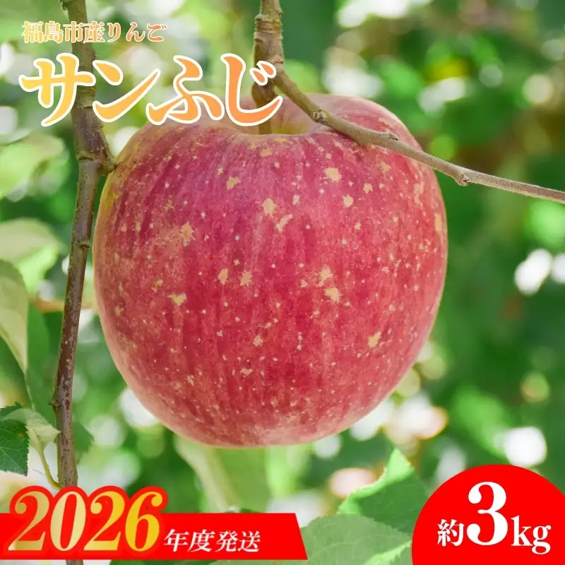 No.1471 りんご「サンふじ」約3kg【2026年度発送】