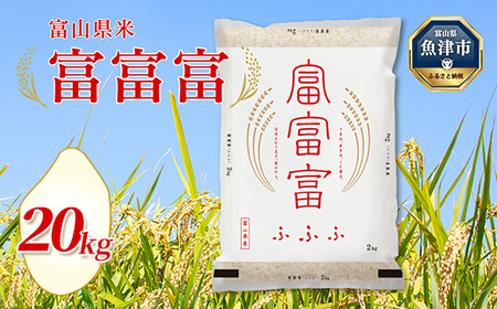【令和7年度米】富山県産米「富富富」20kg（5kg×4袋）（精米）｜富富富 ふふふ こめ コメ お米 おこめ 白米 精米 ブランド米 雪解け水 冷めても 美味しい おにぎり お弁当 高品質 魚津市 ※2025年10月上旬～2026年8月下旬頃に順次発送予定 ※北海道・沖縄・離島への配送不可