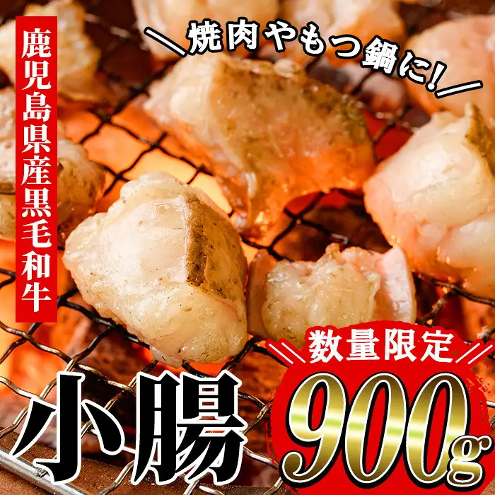 鹿児島県産 黒毛和牛 小腸 900g（700g＋200g）【00-030-08-L】