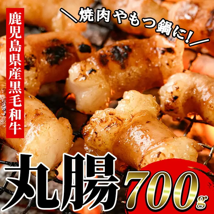 鹿児島県産 黒毛和牛  丸腸 約700g ホルモン【00-030-12】