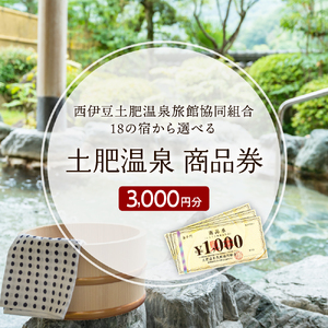 宿泊 静岡 伊豆 土肥 温泉 旅館 協同組合 3,000円分 商品券 1-012