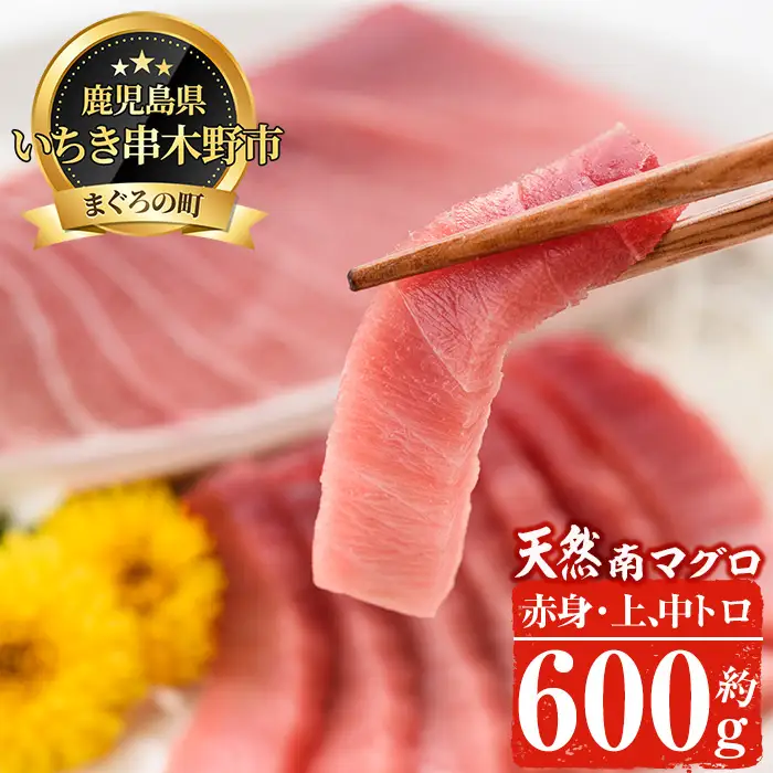 南まぐろの中トロセット 約600g（上トロ、中トロ、赤身各1柵） 希少な天然南まぐろをご家庭で！【00-019-02】