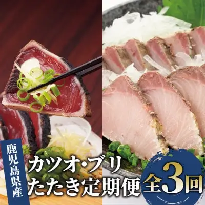 定期便 全3回 カツオとブリのたたき 定期便 指宿食品 IBZ026-001