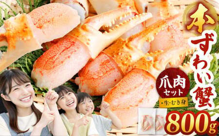 本ズワイ蟹 カニ 生爪セット 800g ｜ 海鮮 カニ かに 蟹 ずわい蟹 爪 ズワイガニ ポーション むき身 カニしゃぶ しゃぶしゃぶ 簡単調理 冷凍