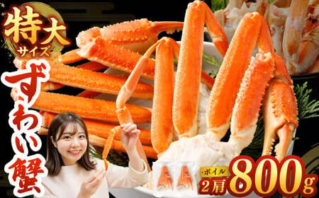 ボイル ズワイ蟹 特大サイズ 2肩 800g  ｜海鮮 カニ かに 蟹 ズワイガニ 冷凍