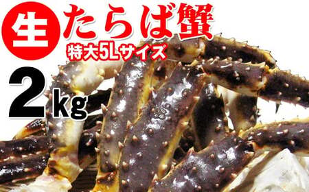 生タラバ蟹 特大サイズ 5L 2kg  ｜ 海鮮 カニ かに 蟹 タラバガニ たらば蟹 足 脚 特大 大型 冷凍