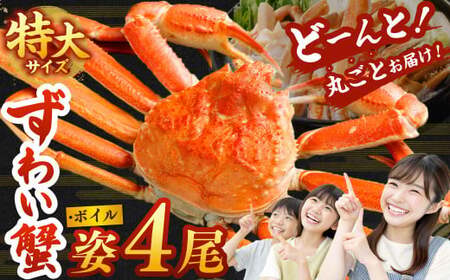 特大 ボイル ズワイ蟹 姿 3kg 4尾 ｜ 海鮮 カニ かに 蟹 ズワイガニ かにみそ カニみそ 冷凍