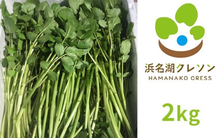 浜名湖クレソン 2kg【配送不可：北海道・沖縄・離島】 朝採れ ハーブ 