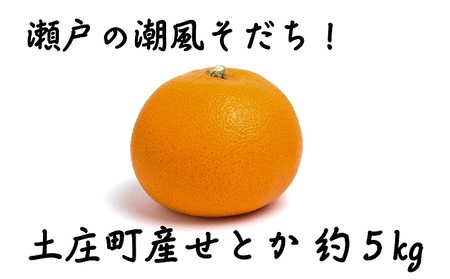 【 小豆島 】小豆島せとか 約5kg 柑橘 果物 せとか フルーツ ジューシー フレッシュ くだもの 国産 香川 香川県 土庄 土庄町