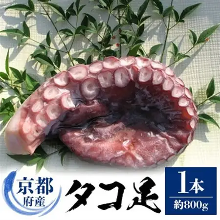 京都府産　タコ足　1本(冷凍:鮮度抜群真空パック)【共通返礼品】_魚介・海産物 タコ  たこ 蛸_【配送不可地域：離島】【1045456】