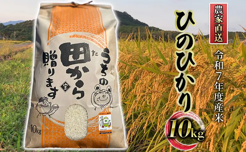米 10kg 令和7年度産米 ひのひかり 筑後小郡産 農家直送 お米 コメ 