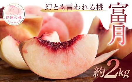 【2026年出荷分先行予約】福島県産 富月 約2㎏ (5～7玉) 斎藤果樹園 珍しい 伊達の桃 桃 フルーツ 果物 もも モモ momo F20C-490