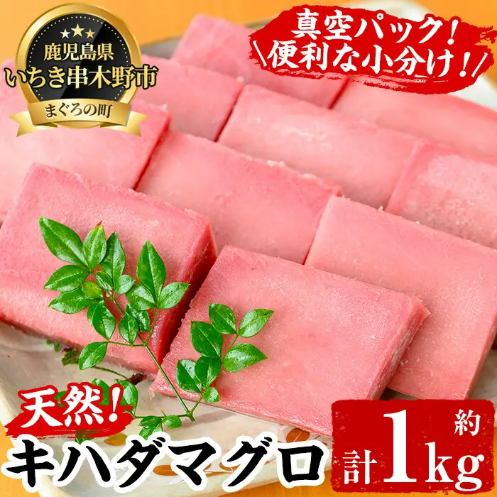 天然！ キハダマグロ 約1kg（100g×7-10柵） 真空 冷凍【00-041-01】