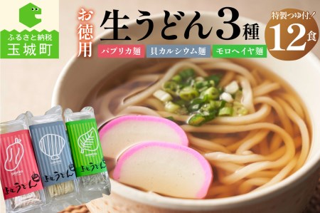 お徳用(簡易包装) 生うどん3種12食詰め合わせセット [うどん 詰め合わせ]