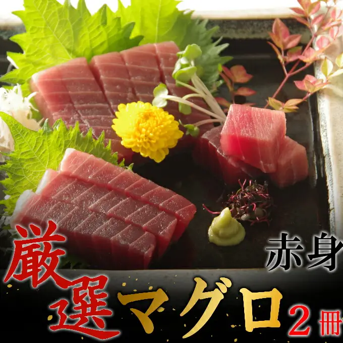 【赤身】天然南マグロ　赤身　２柵【解凍書付】まぐろ 鮪 海鮮 冷凍 さしみ 刺身 父の日 高知 室戸 マグロ