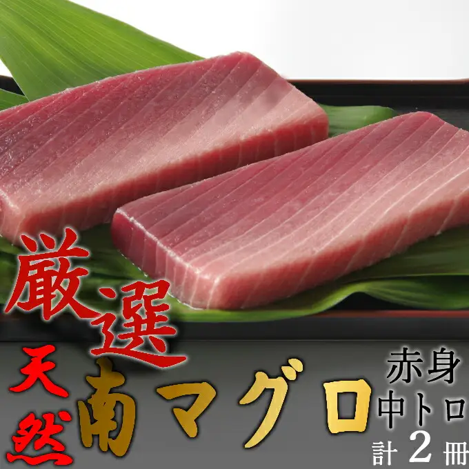 【中トロ】【赤身】天然南マグロ　中トロ１柵　赤身１柵【解凍書付】まぐろ 鮪 海鮮 冷凍 さしみ 刺身 父の日 高知 室戸 マグロ