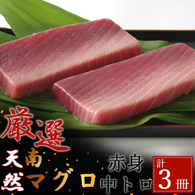 【中トロ】【赤身】天然南マグロ　中トロ２柵　赤身１柵【解凍書付】まぐろ 鮪 海鮮 冷凍 さしみ 刺身 父の日 高知 室戸 マグロ