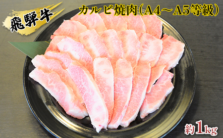 飛騨牛カルビ焼肉（A4～A5等級）約1kg（約250g×4パック） お肉 牛肉 バーベキュー 約1kg 