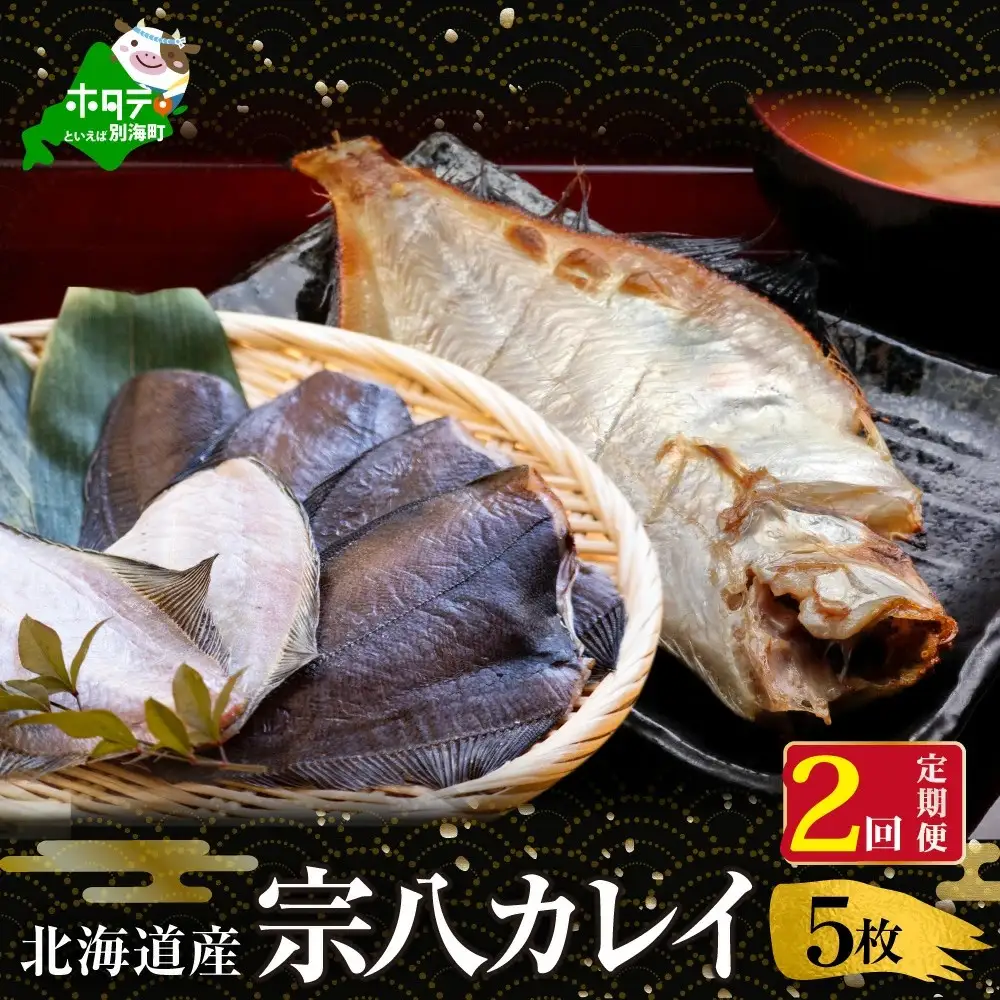 【定期便】北海道産 一夜干し 宗八 カレイ 計10枚 5枚×2ヵ月【全2回】カレイ 干物 別海町