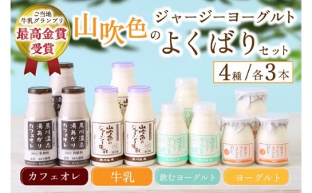 山吹色のジャージーヨーグルト よくばりセット 4種 ジャージー牛乳 飲むヨーグルト 牛乳 カフェオレ ヨーグルト プレーンヨーグルト 詰め合わせ アソート セット 乳製品 飲料 健康 腸活 免疫力アップ 乳酸菌 ご当地牛乳グランプリ 最高金賞 ご当地 ギフト 贈答用 山のいぶき 熊本 阿蘇 南小国町 送料無料
